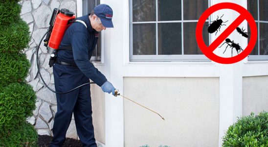 Düzköy Karınca İlaçlama böcek ilaçlama ve haşere kontrolü — ilaclama-tr.com